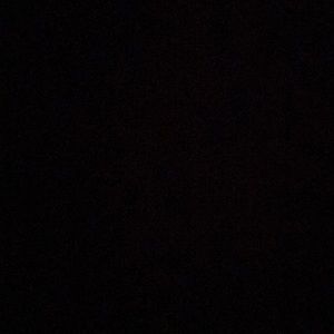 Meet your Posher, Angelica